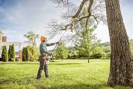 Best Tree Health Inspection  in Rossville, GA